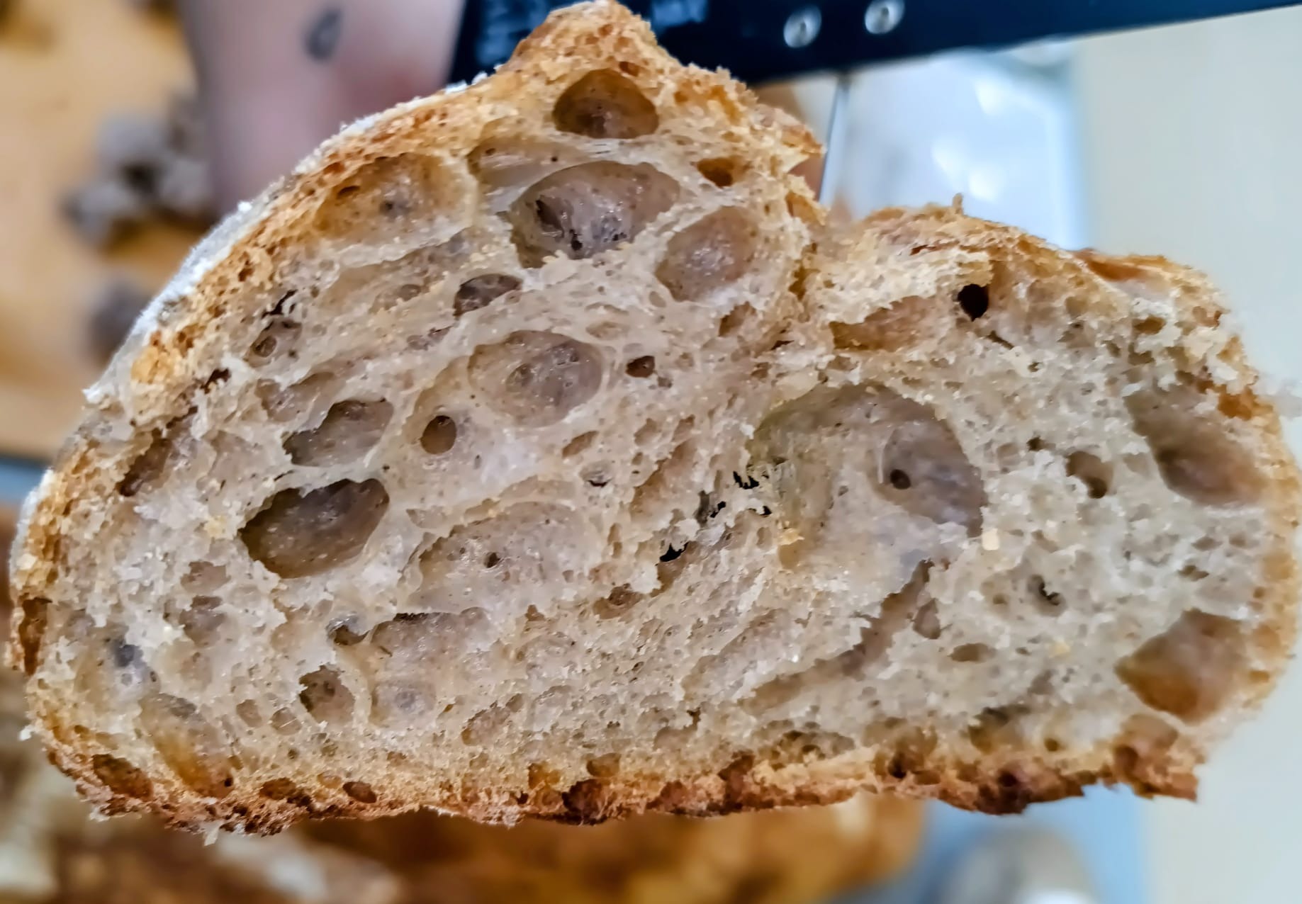 Le Campagne À La Coupe