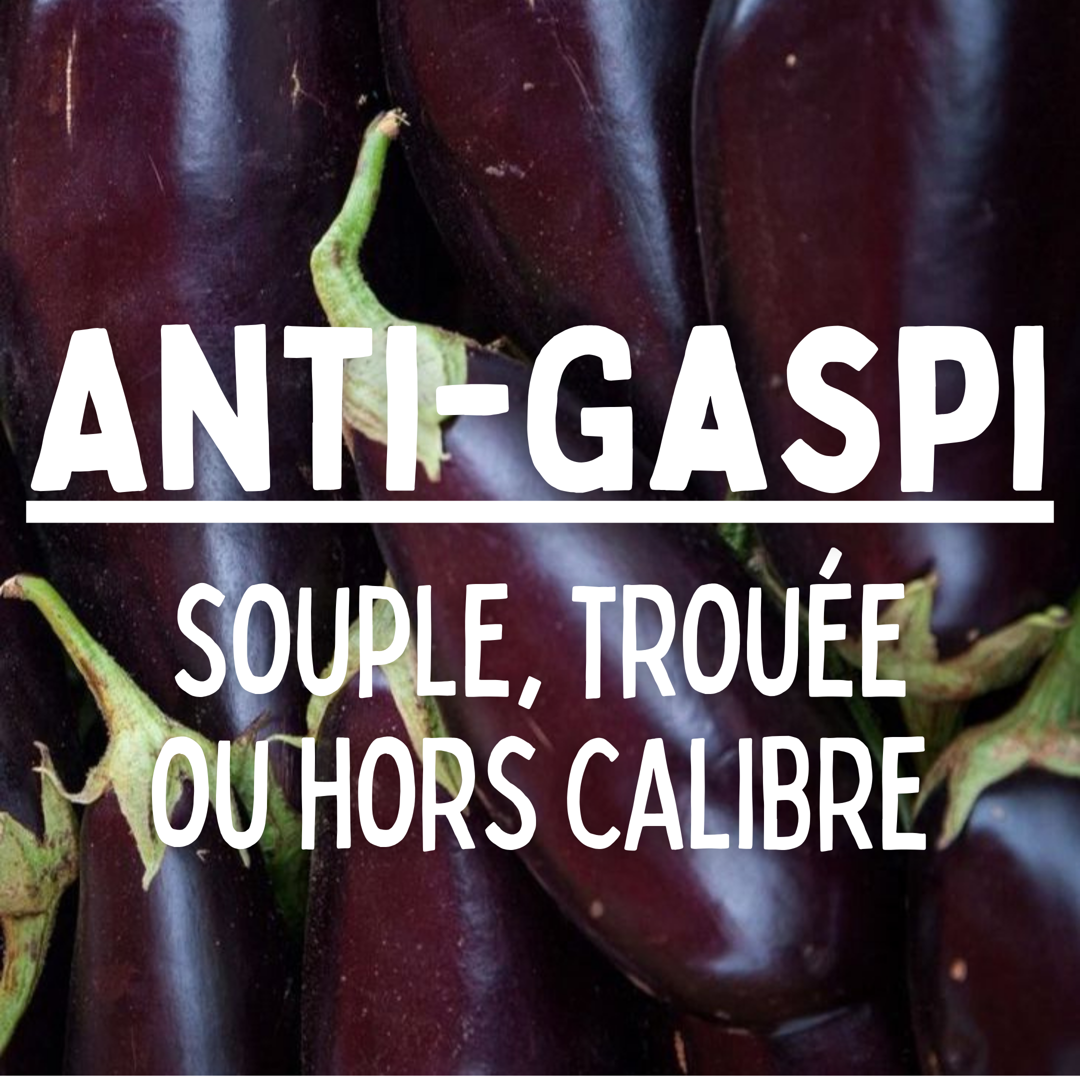 Aubergine noire ANTIGASPI - 500g