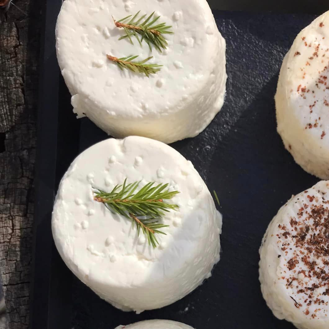 Crottin 🏠SAPIN🏡🌲 - 120g