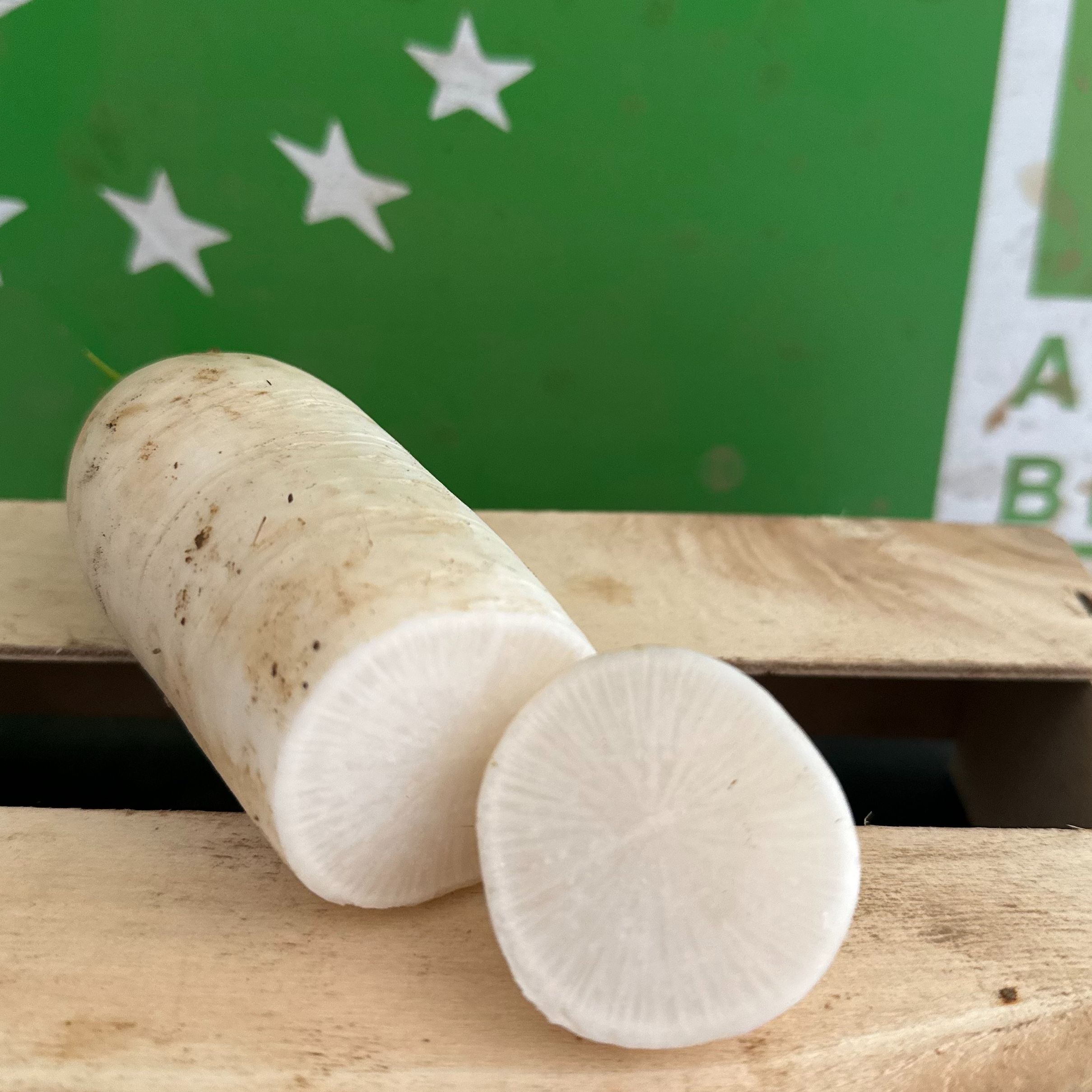 Radis blanc à la pièce