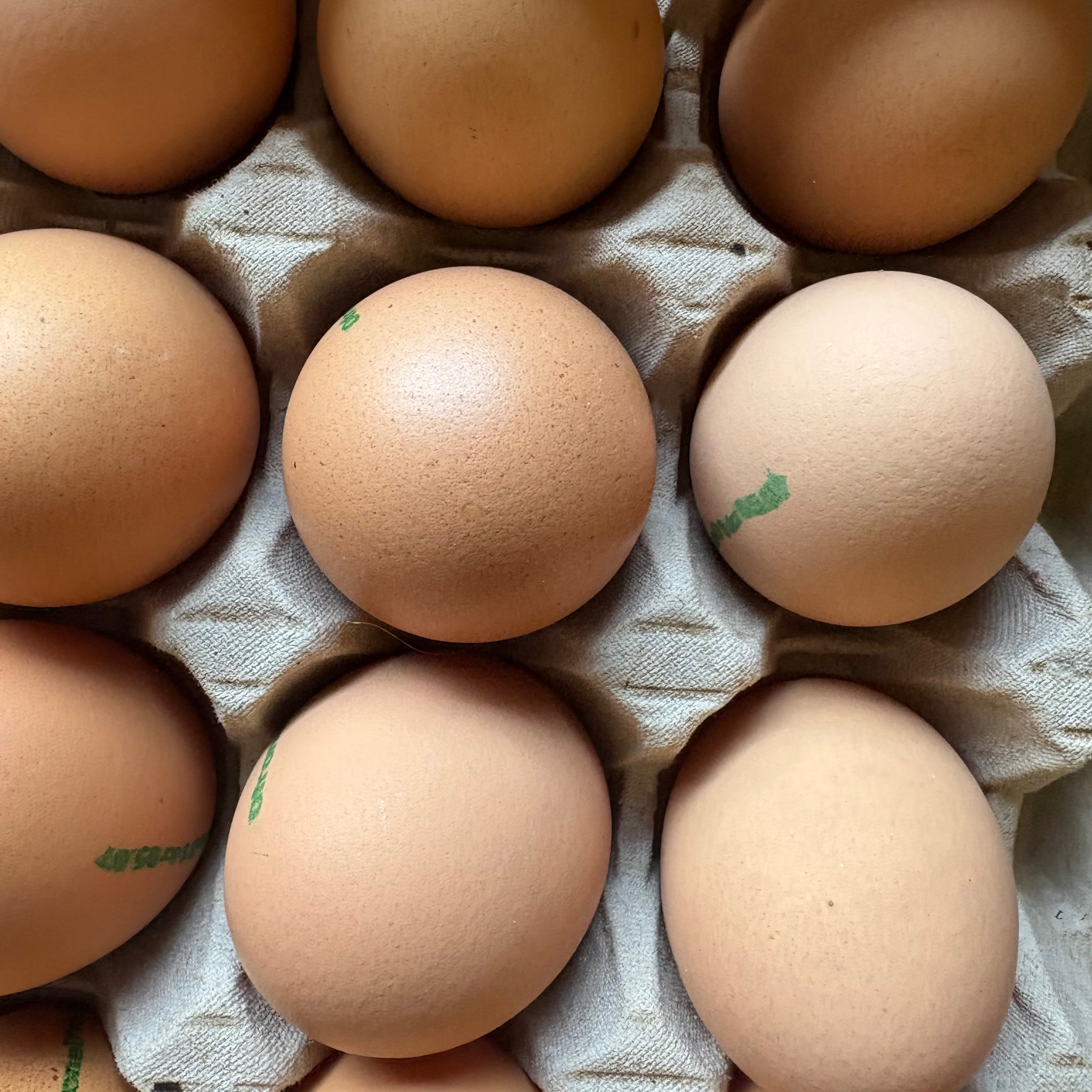 Œuf RETRAIT UNIQUEMENT VENDREDI/SAMEDI