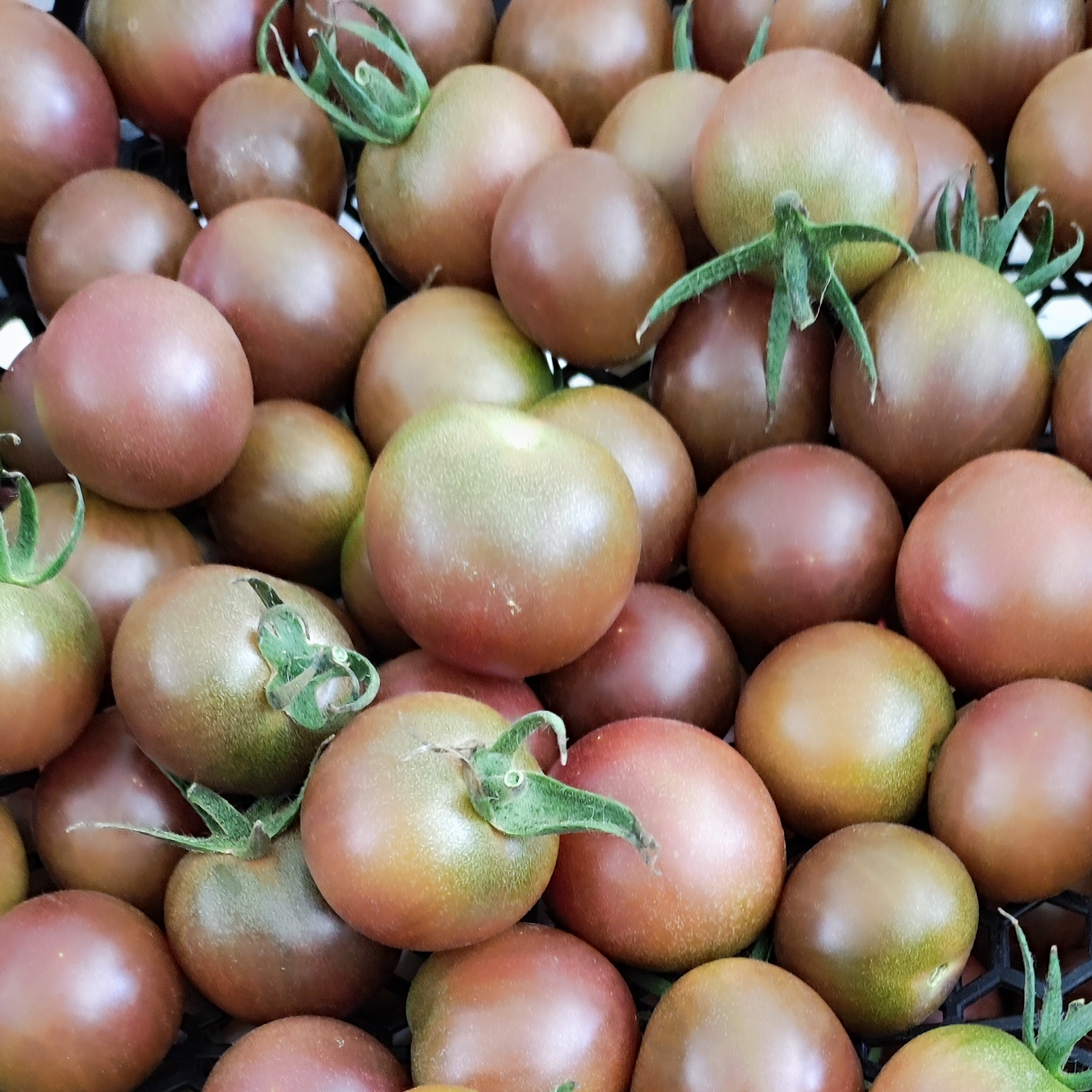 Tomates cerises - 250g