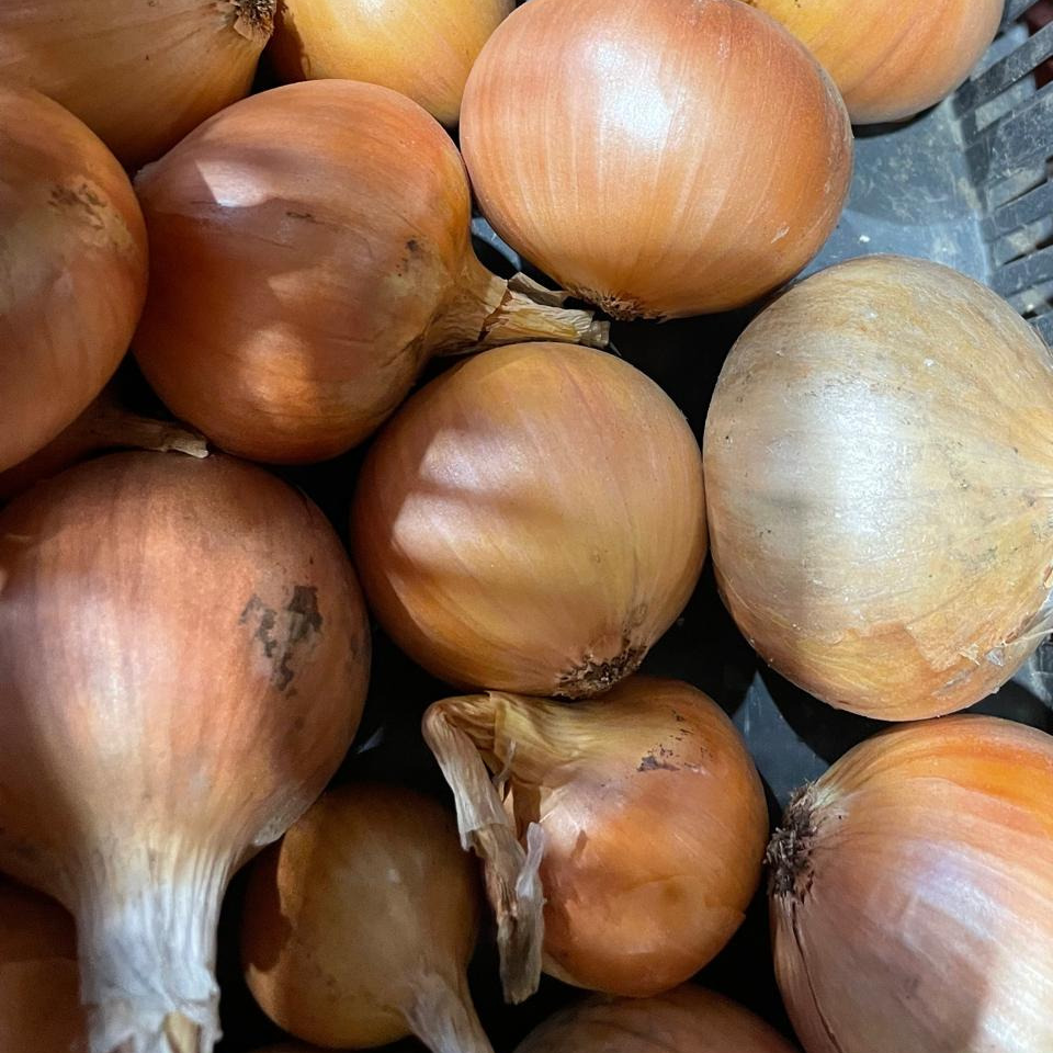 Oignon - 500g