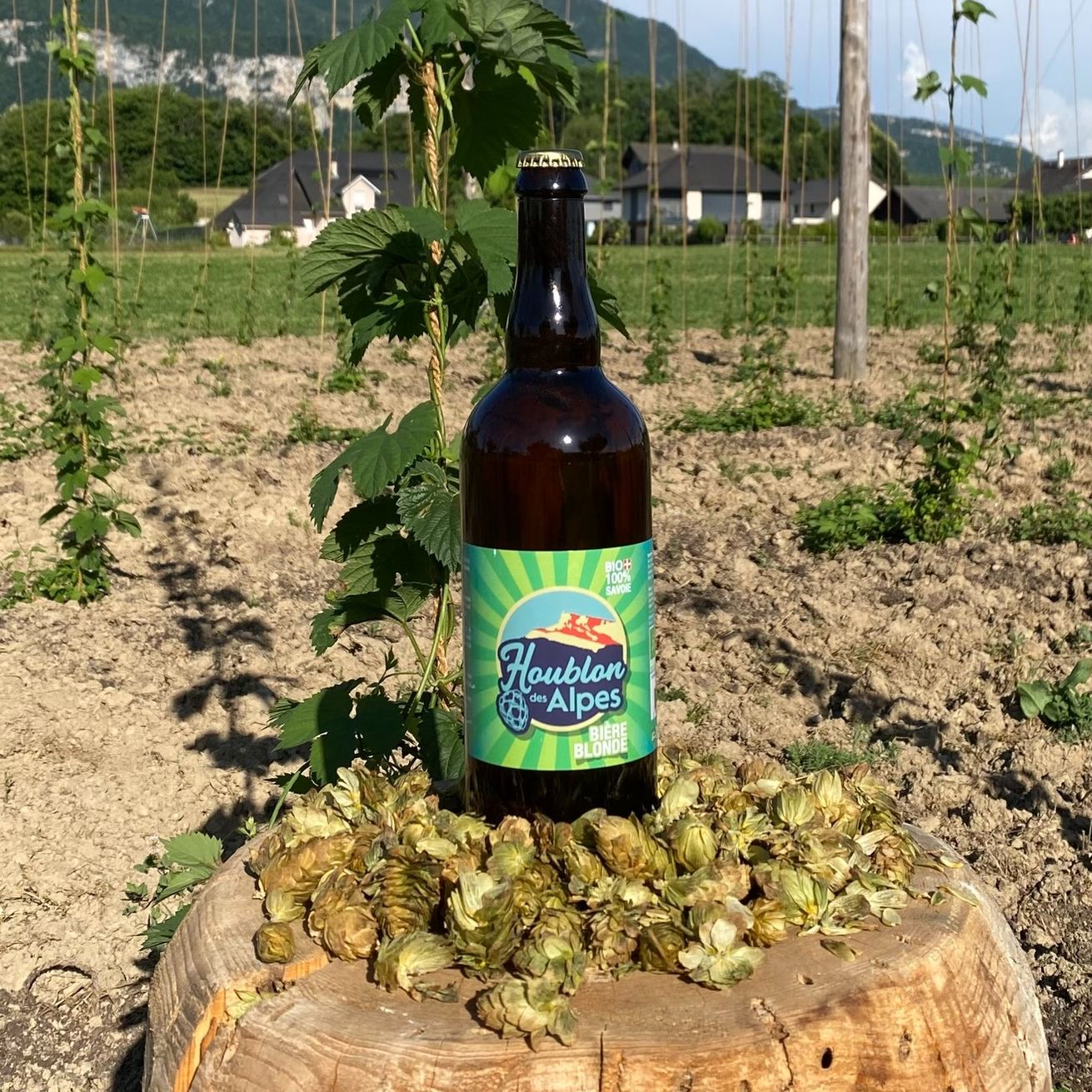 Bières Blonde Bio Houblon des Alpes 75 Cl 4.8% Vol. - 1,3kg