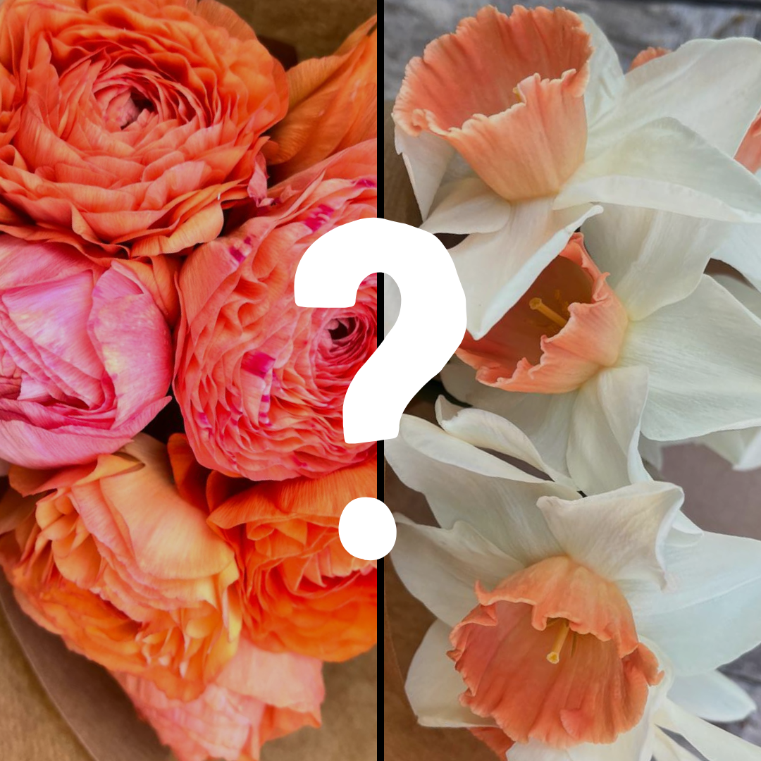 Botte surprise 8 fleurs