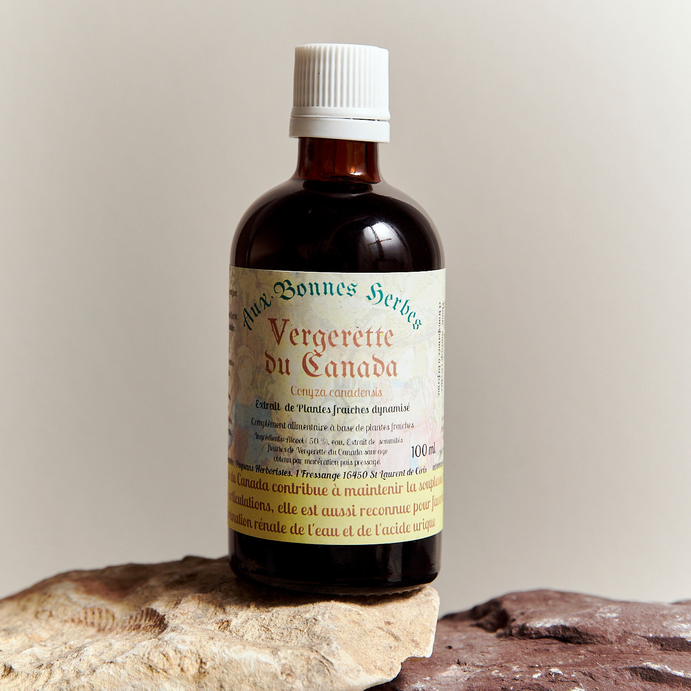 Vergerette du Canada - 100ml