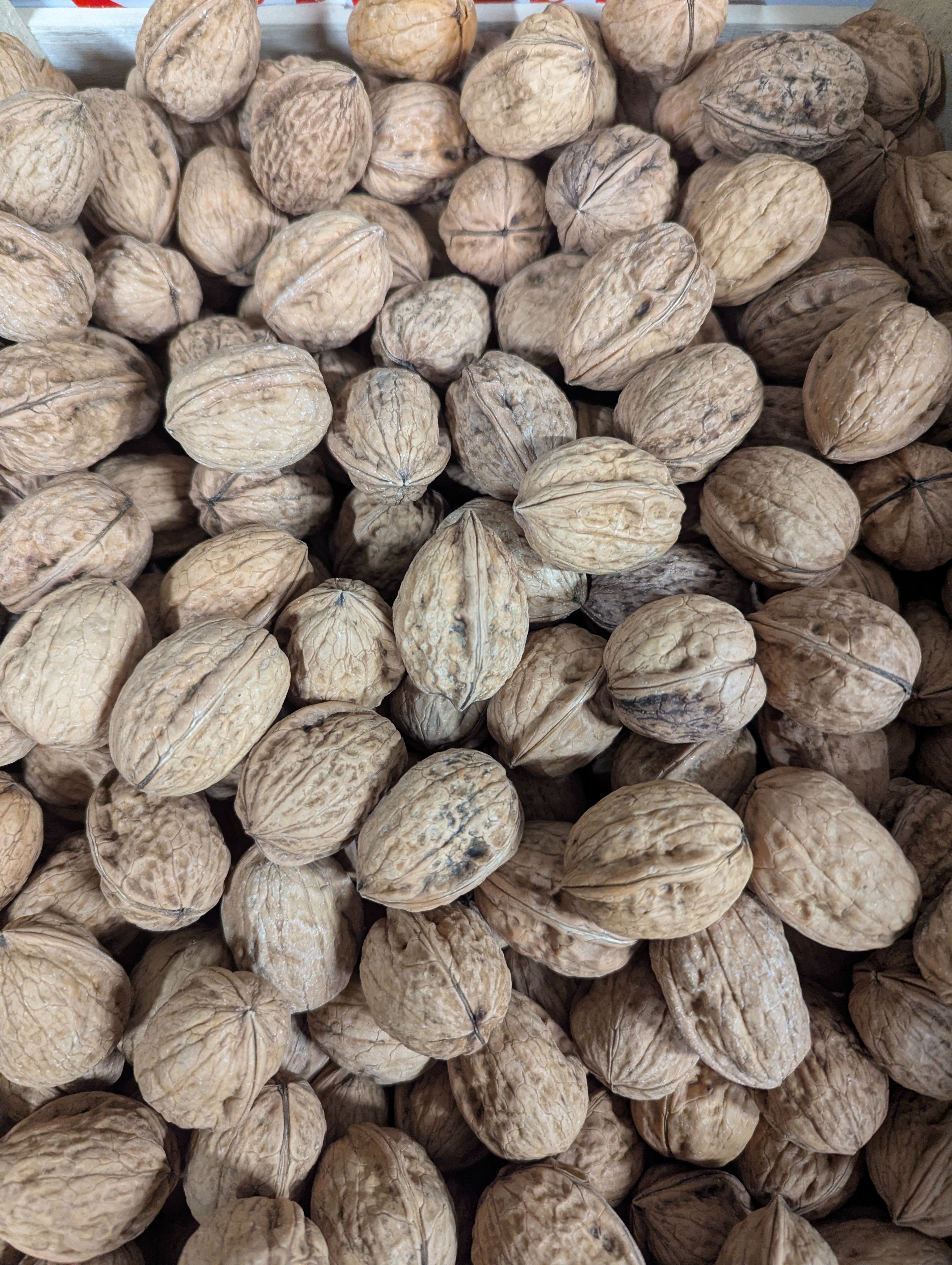 NOIX 500 gr