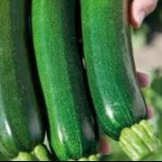 Courgette verte - 0,2kg