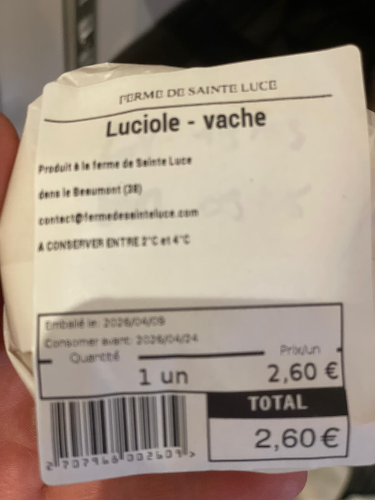 Luciole fromage de vache