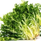 Salade Frisée
