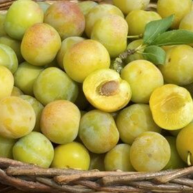 Prune Rouge (100gr)