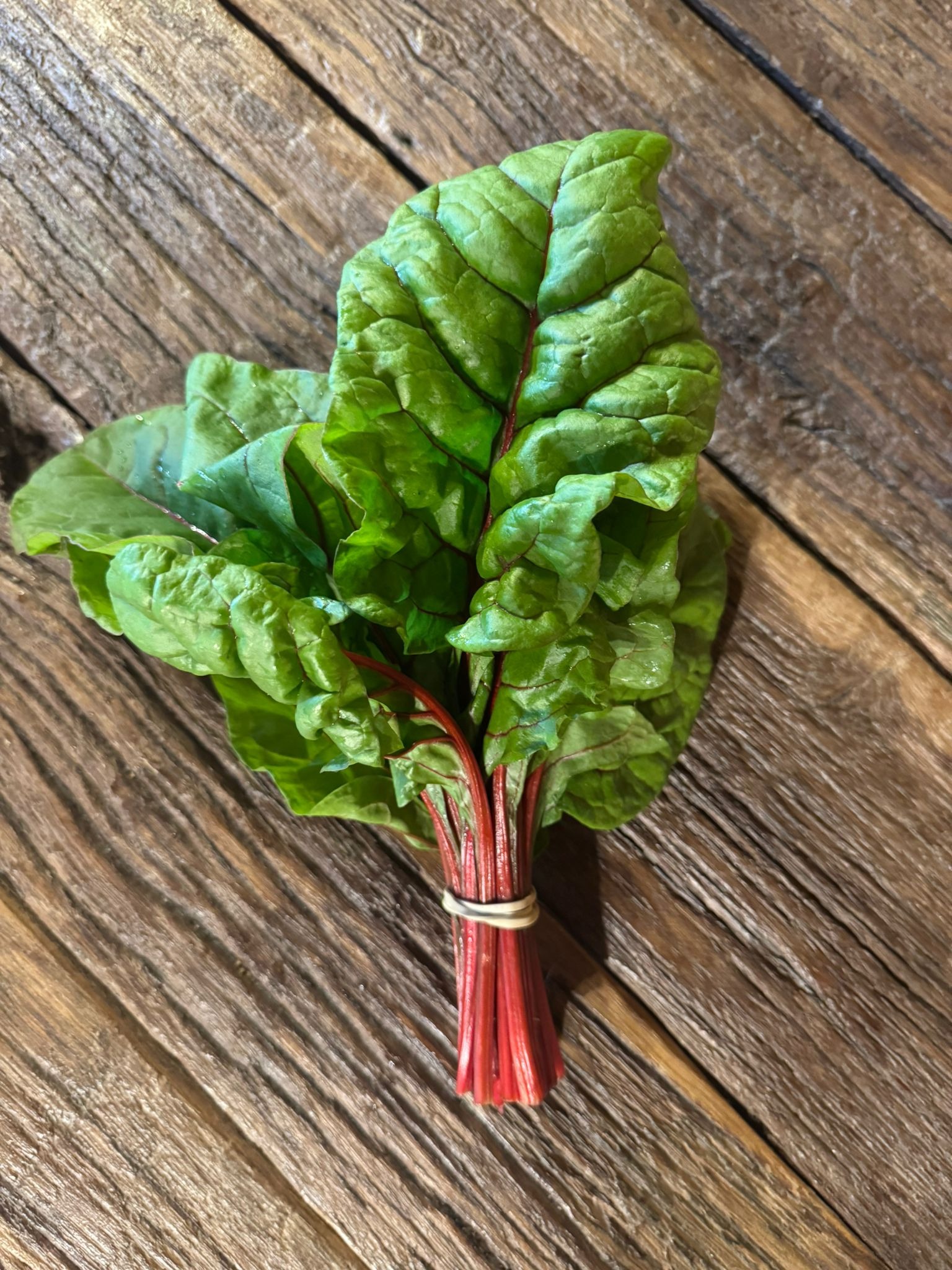 Blette Rouge Mini