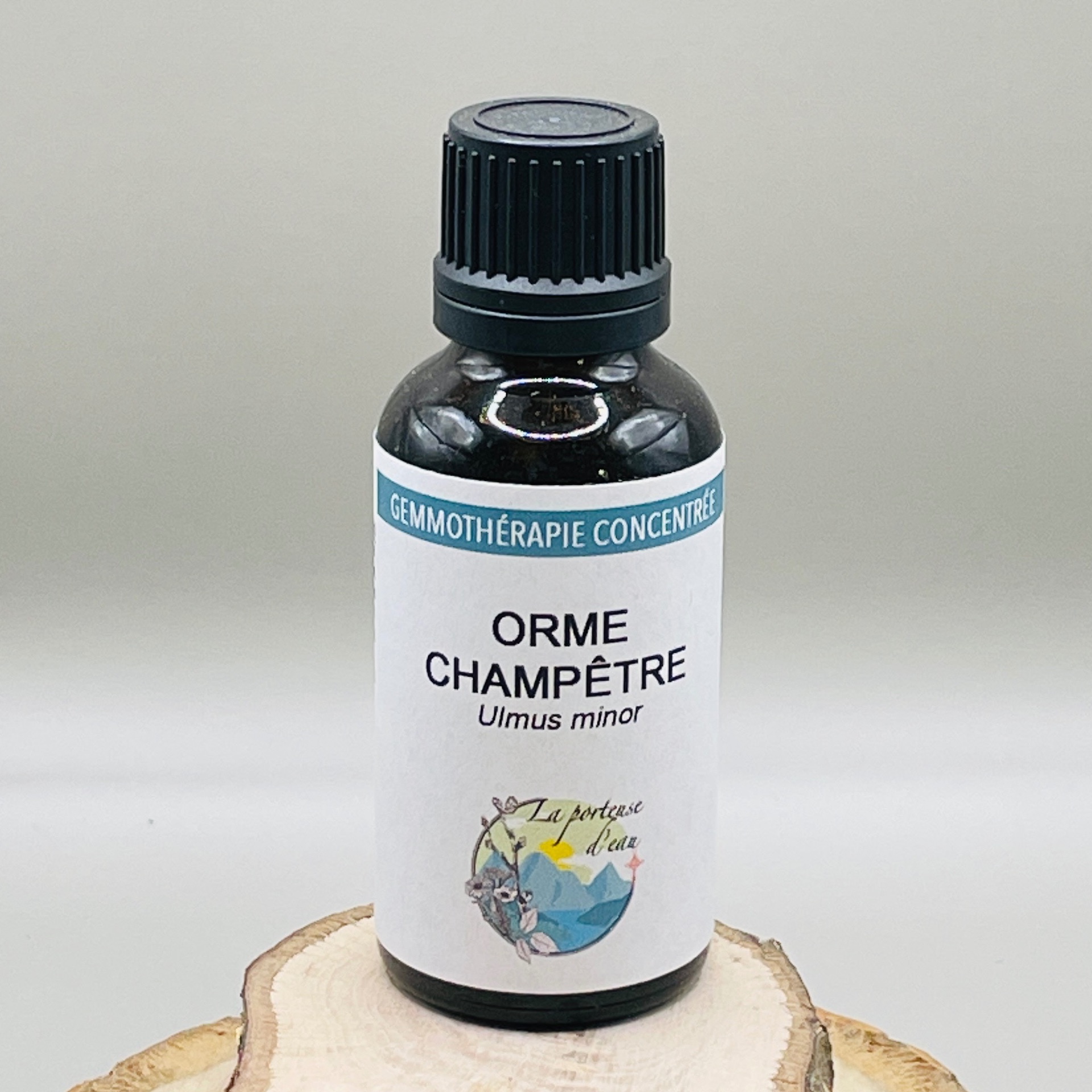 Orme champêtre
Ulmus minor - 30ml