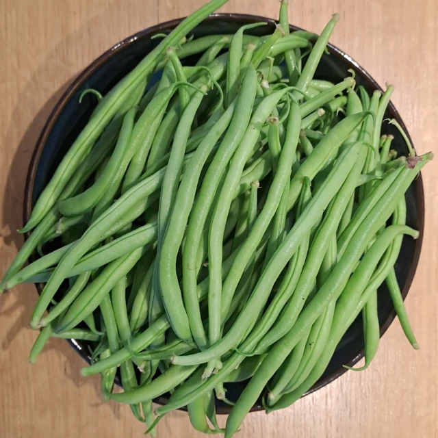 Haricots verts