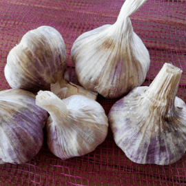 Ail Frais 2 têtes - 200g