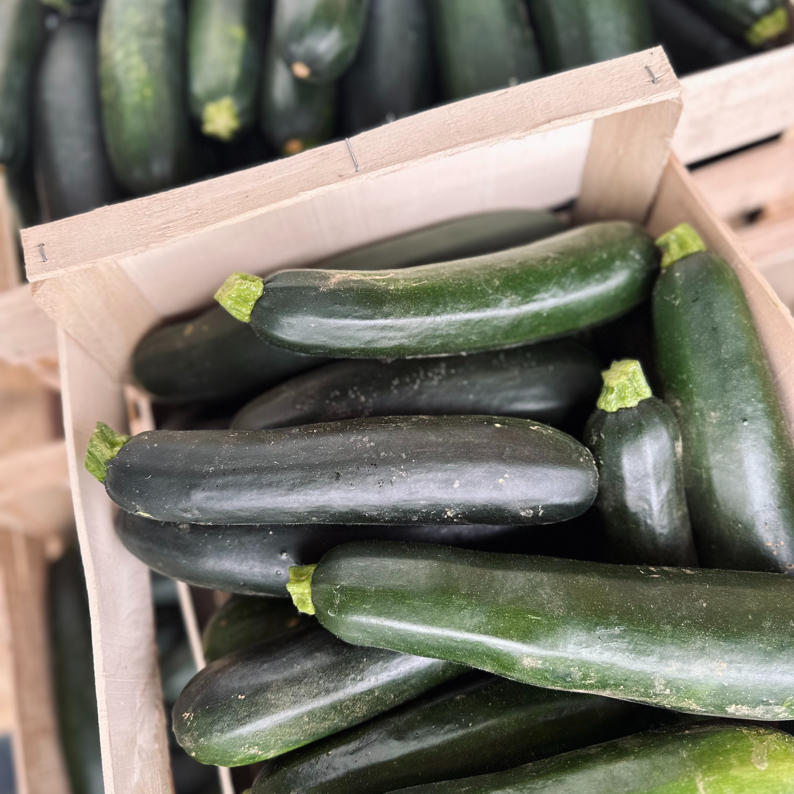 Courgettes vertes