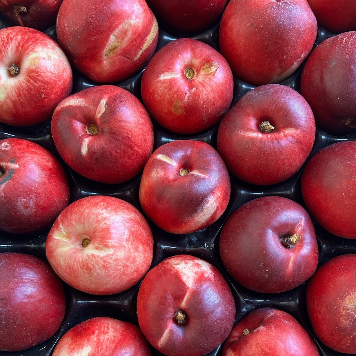 Nectarine blanche