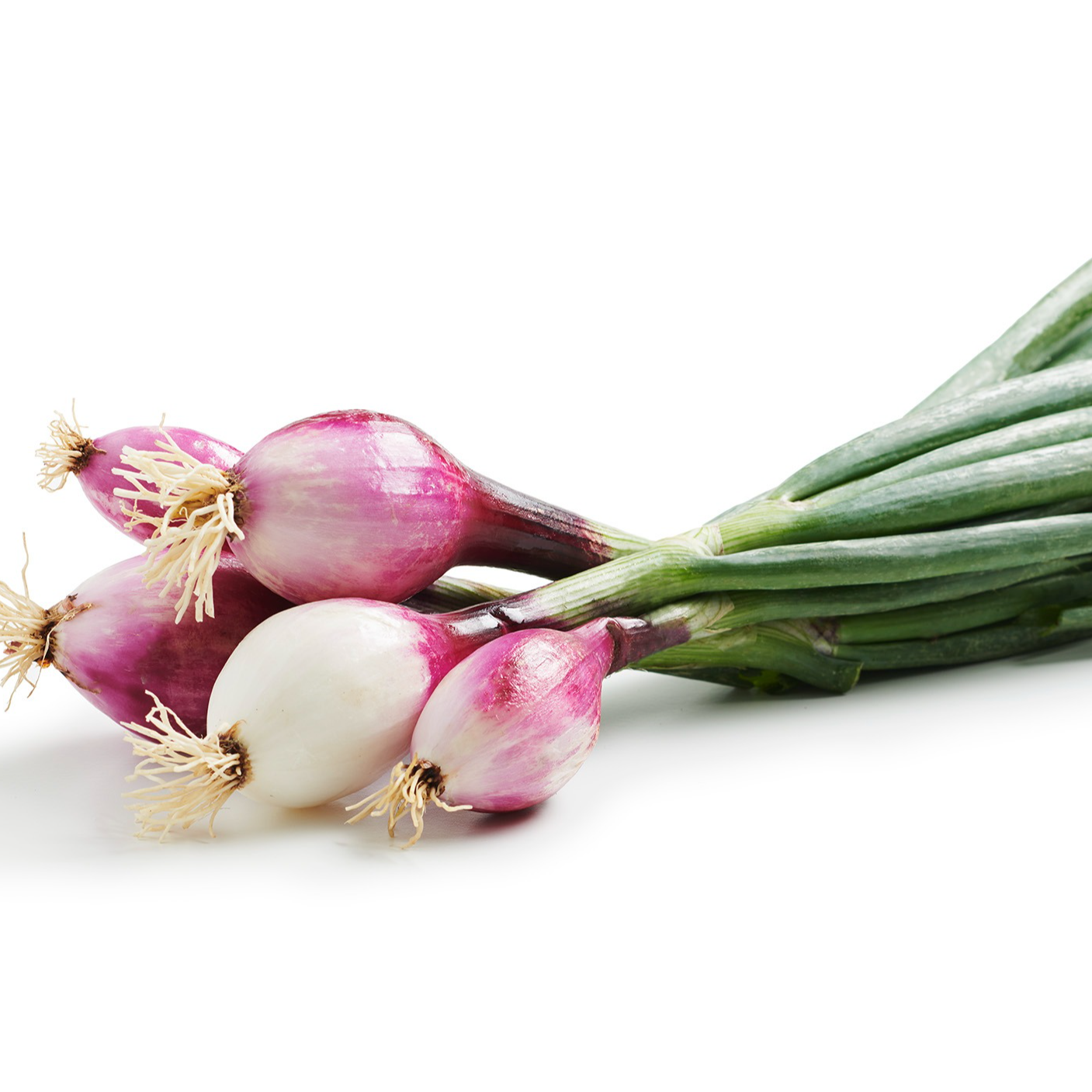 Oignons nouveaux rouges - Botte - 0,3kg