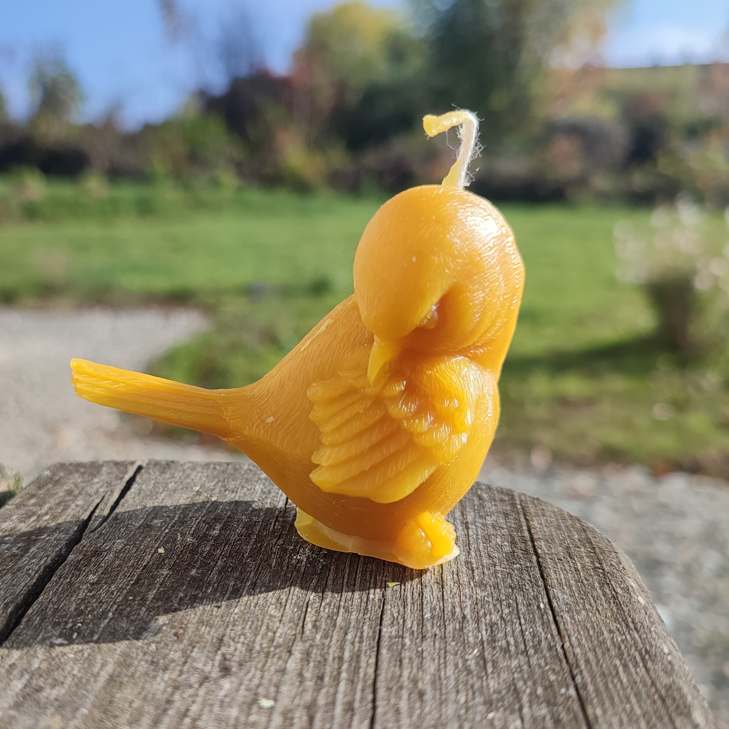 Oiseau