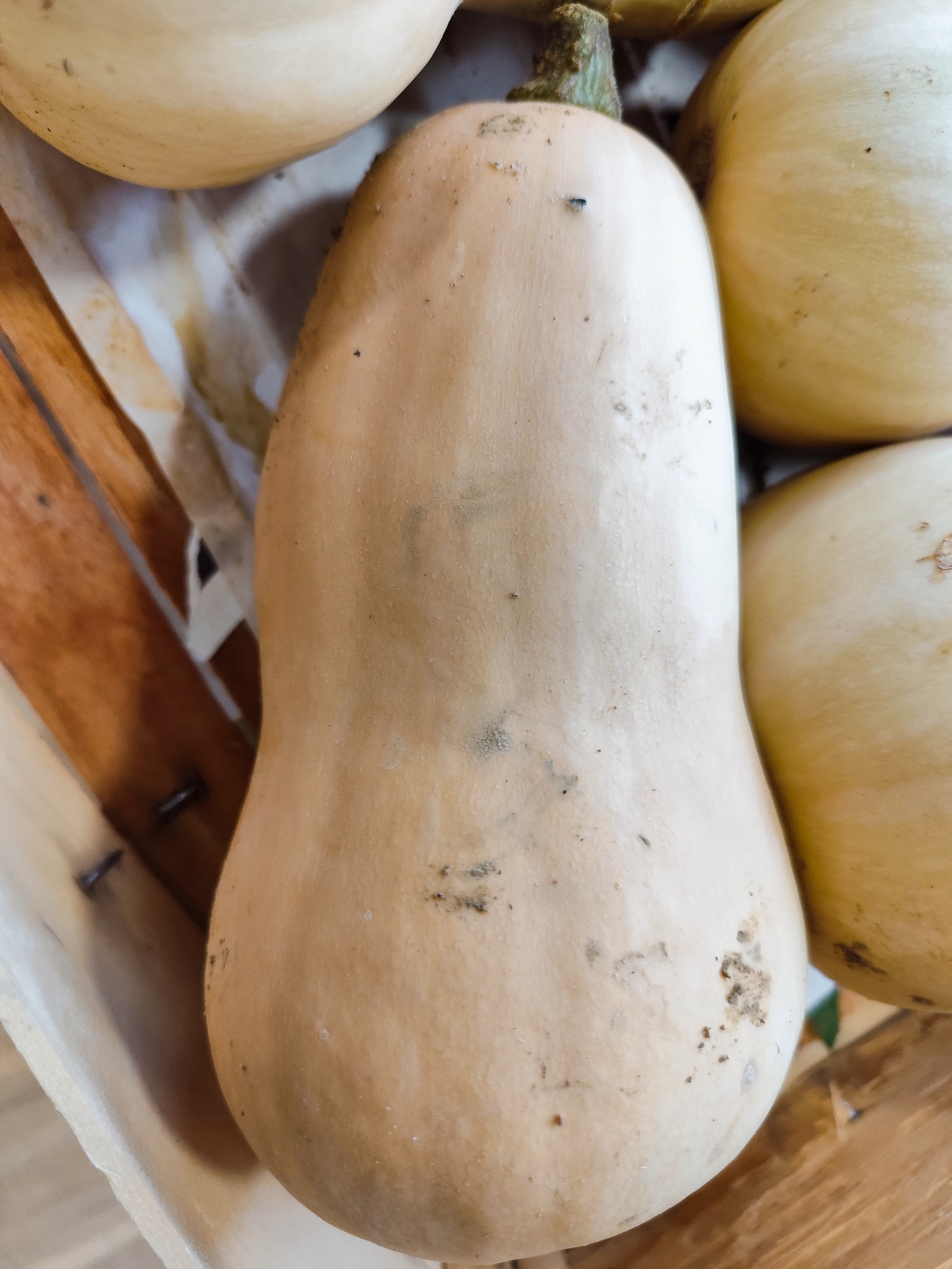 Butternut 1 KG