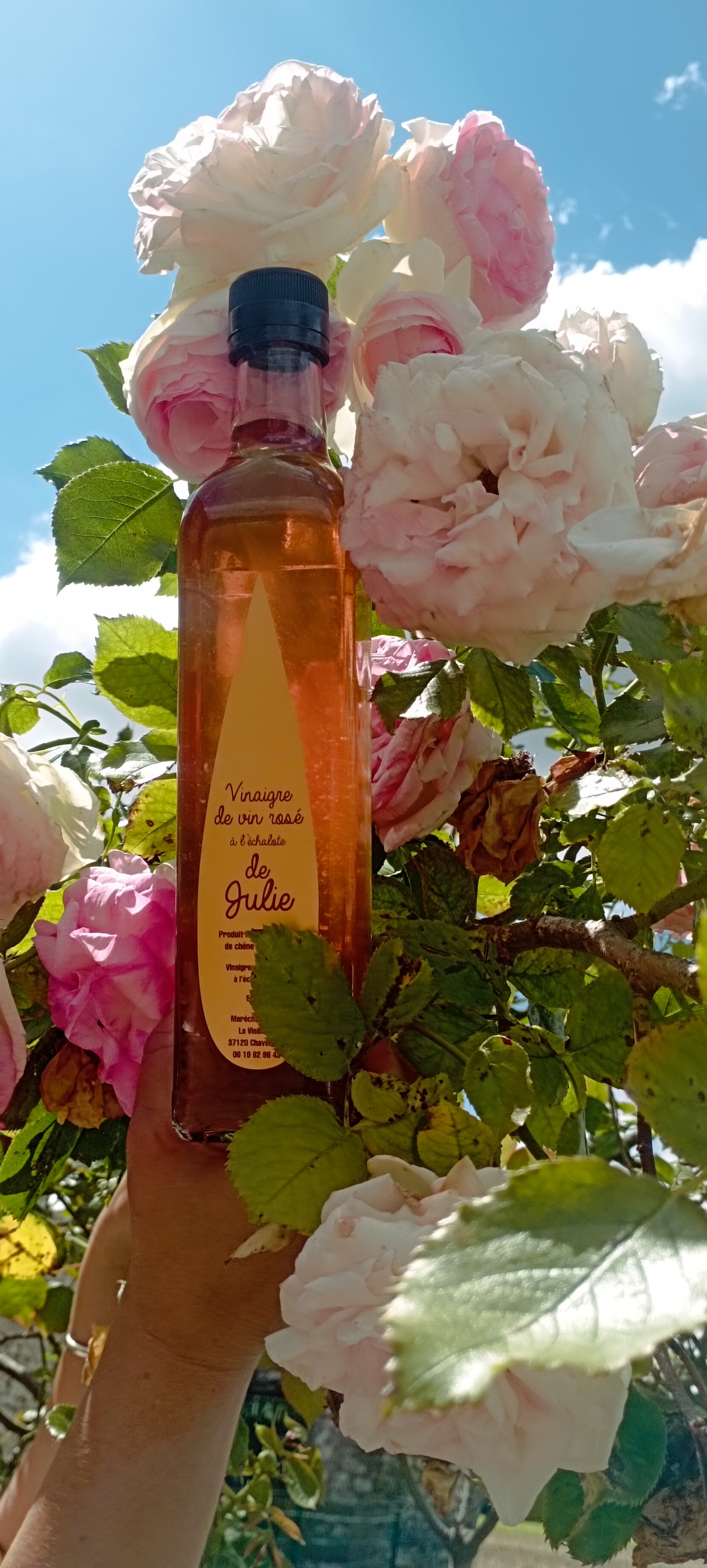 Vinaigre de vin rosé à l' échalote - 50cl