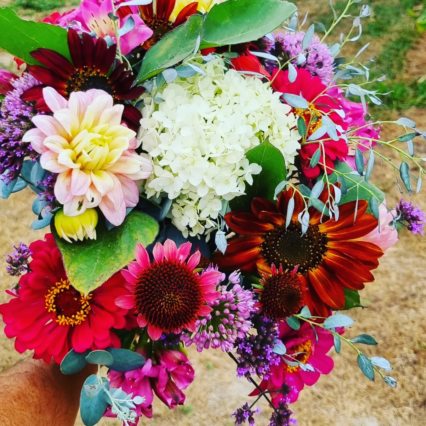 Bouquet de fleurs de saison pastel