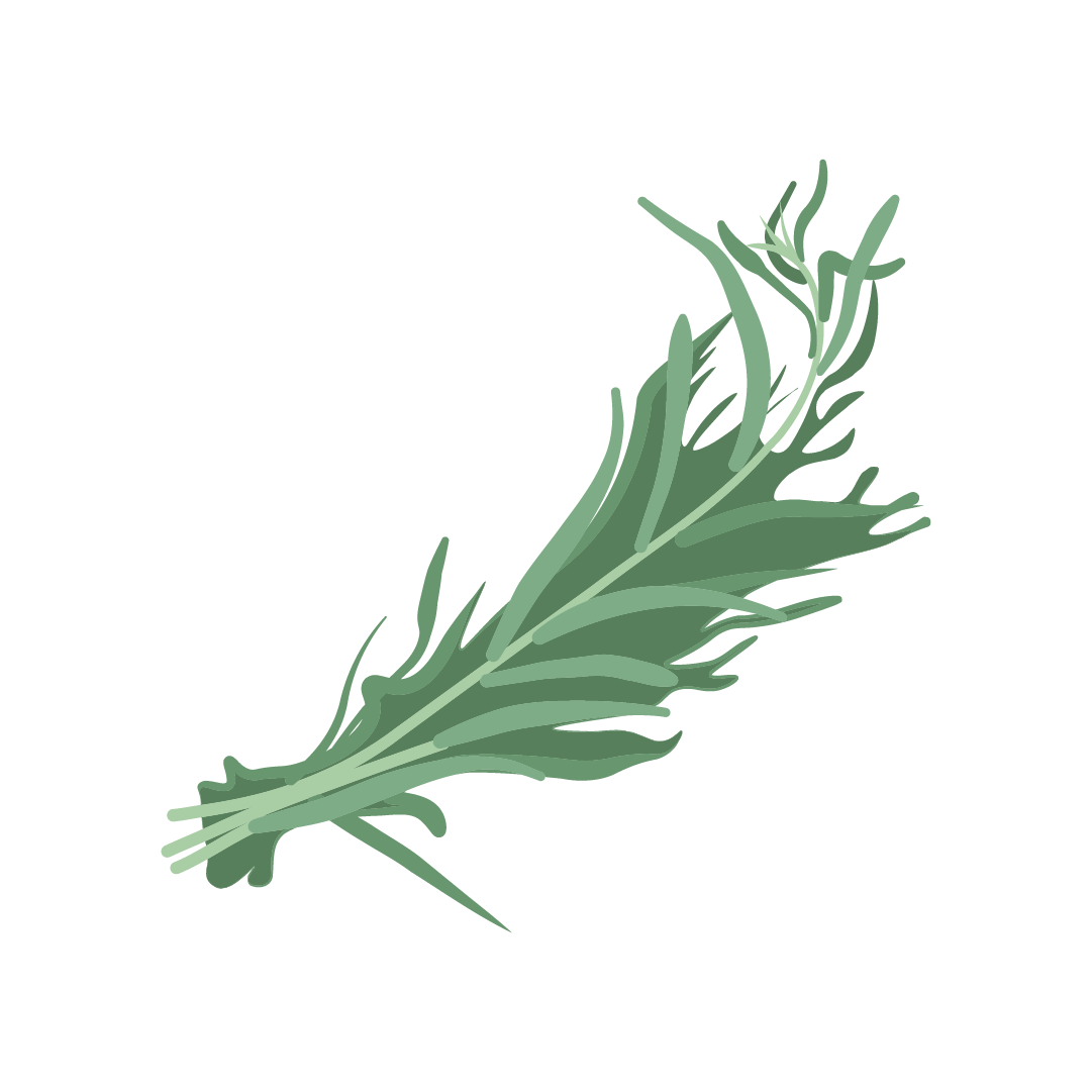 Aromatique Estragon