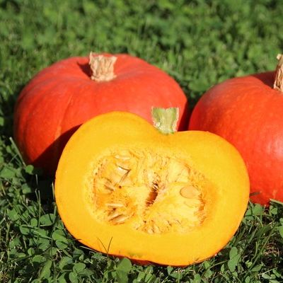 Courge potimarron - 1,2kg
