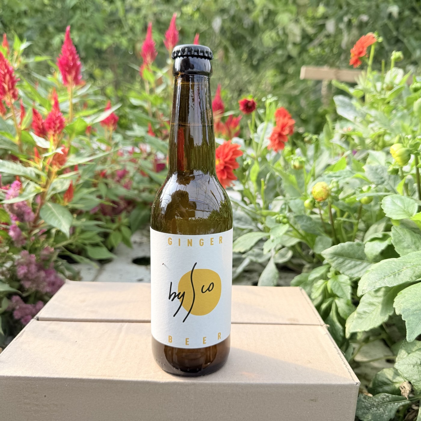 Kombucha Ginger Beer Bio Bysco - 33cl