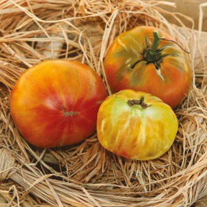 Tomate jaune ANANAS