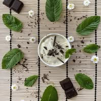 Glace Menthe Chocolat