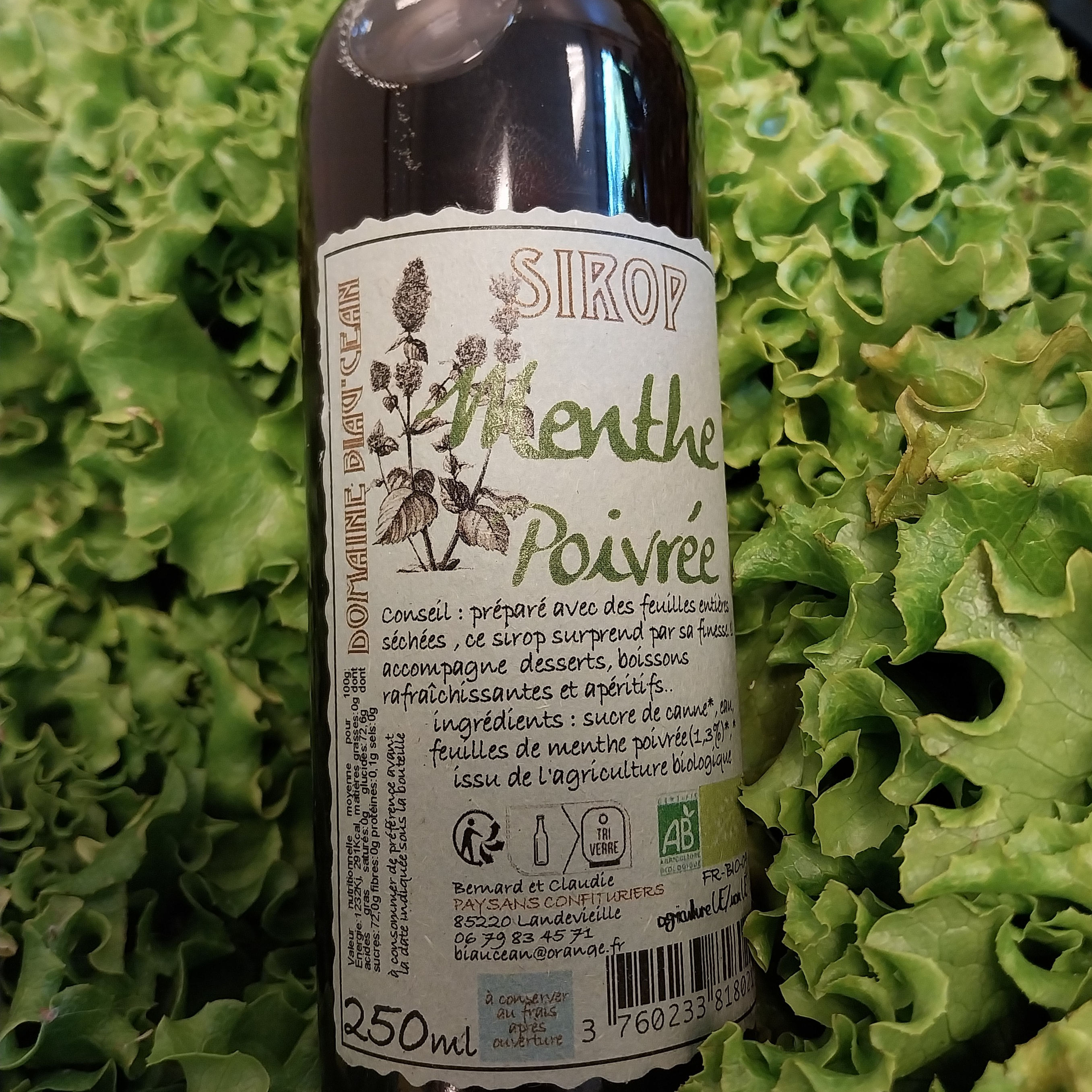 Sirop De Menthe poivrée