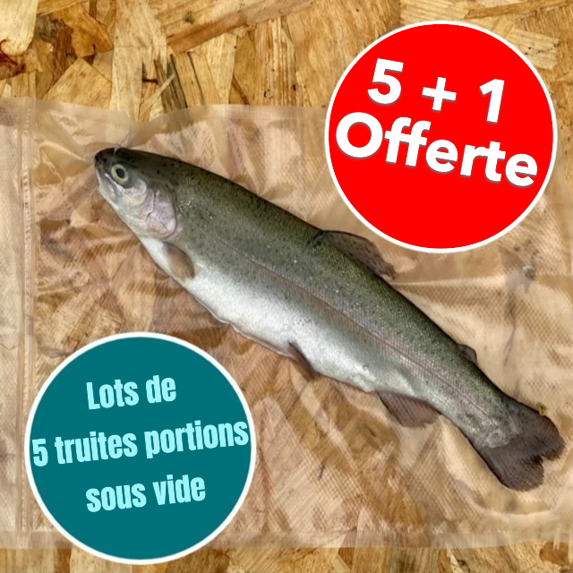 Lot de 5 Truites (5+1 offerte) - 1,92kg