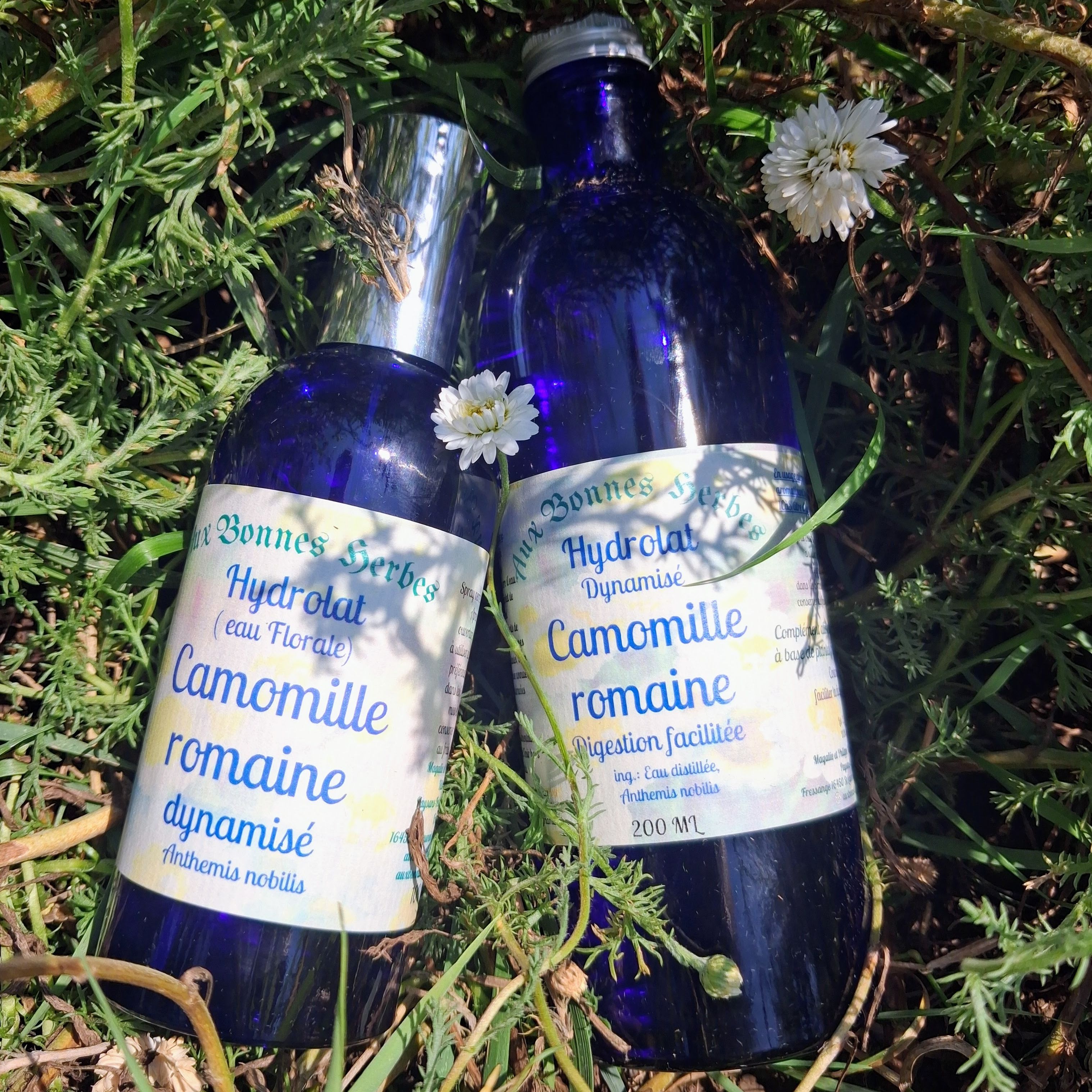 hydrolat camomille romaine