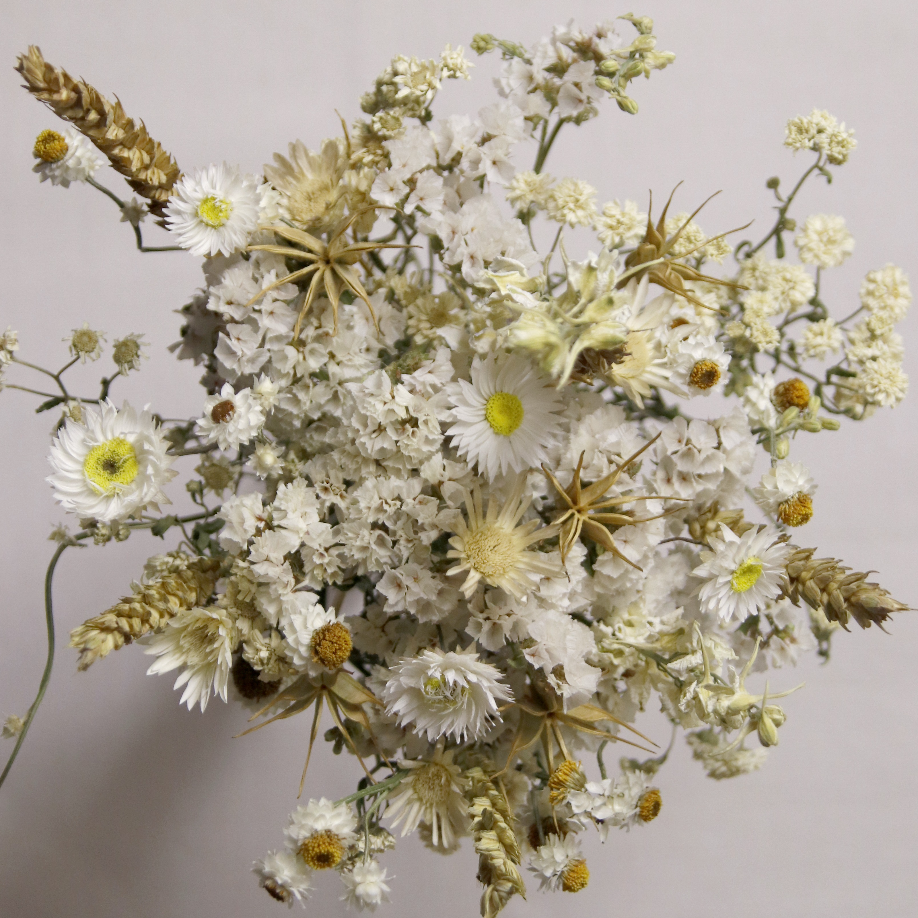 Bouquet sec dans les tons de Blancs