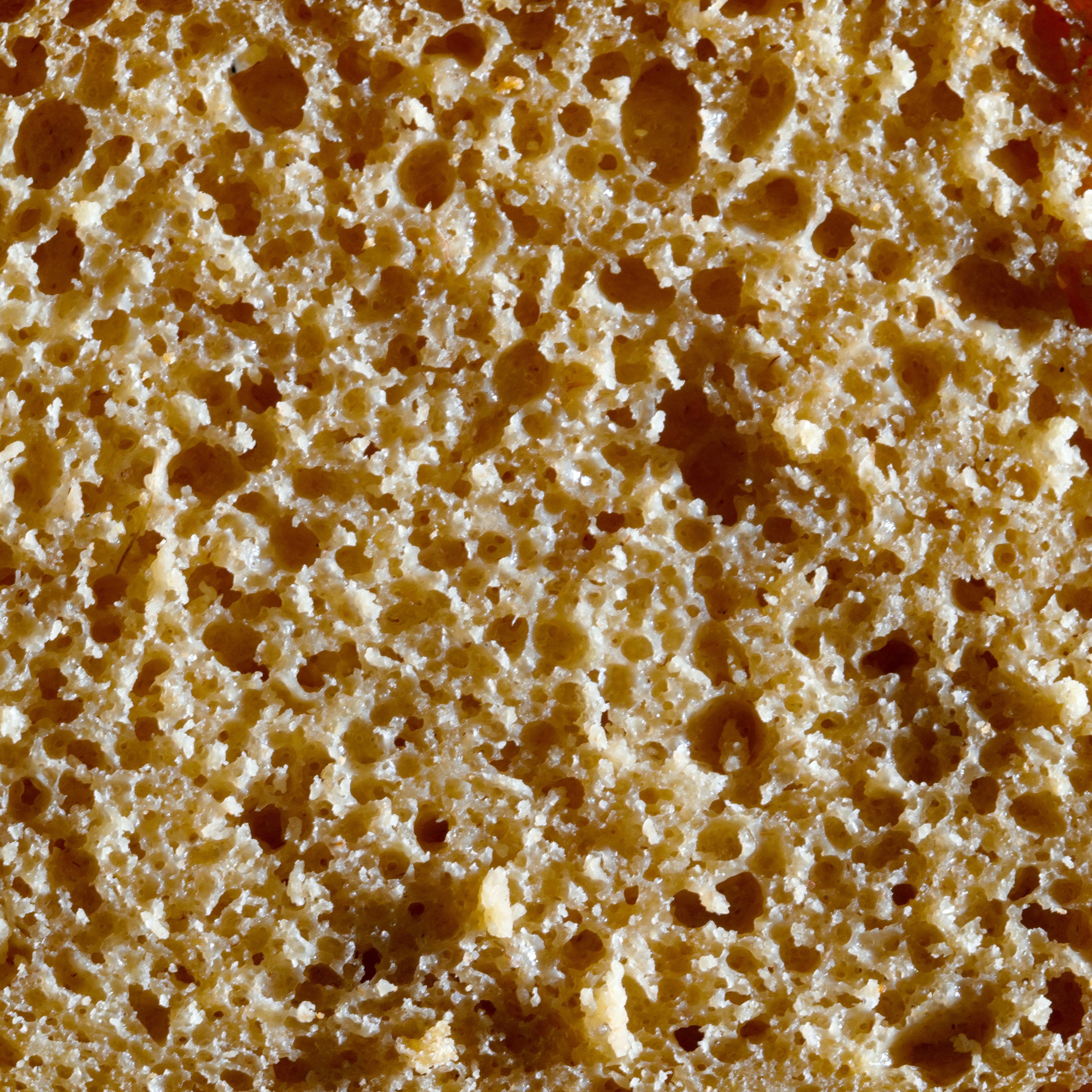 Pain d'engrain 500g moulé - 500g