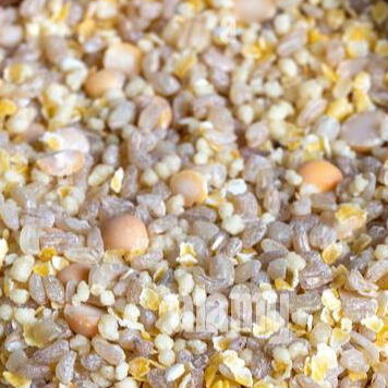 Mélange de graines pour alimentation animale