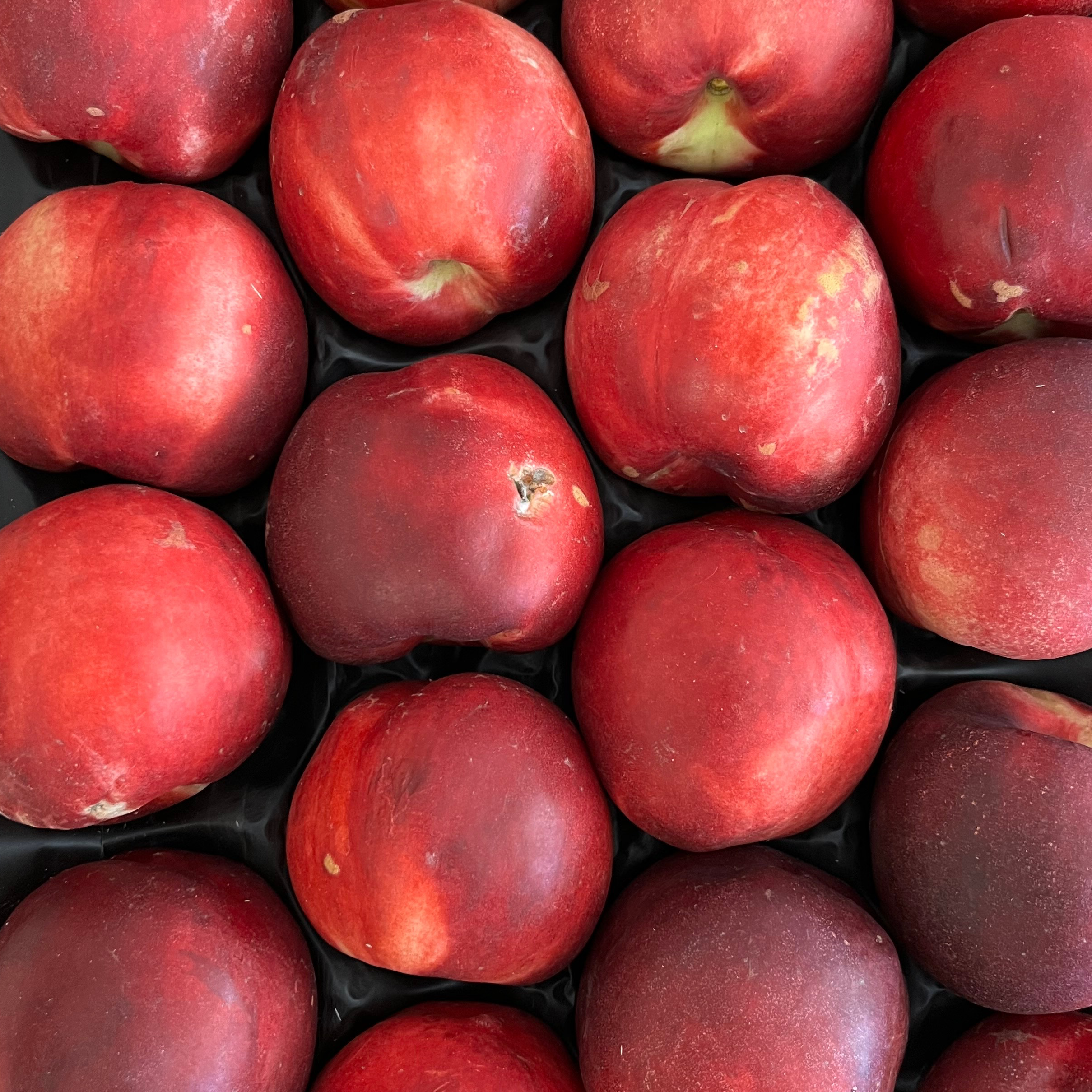Nectarines