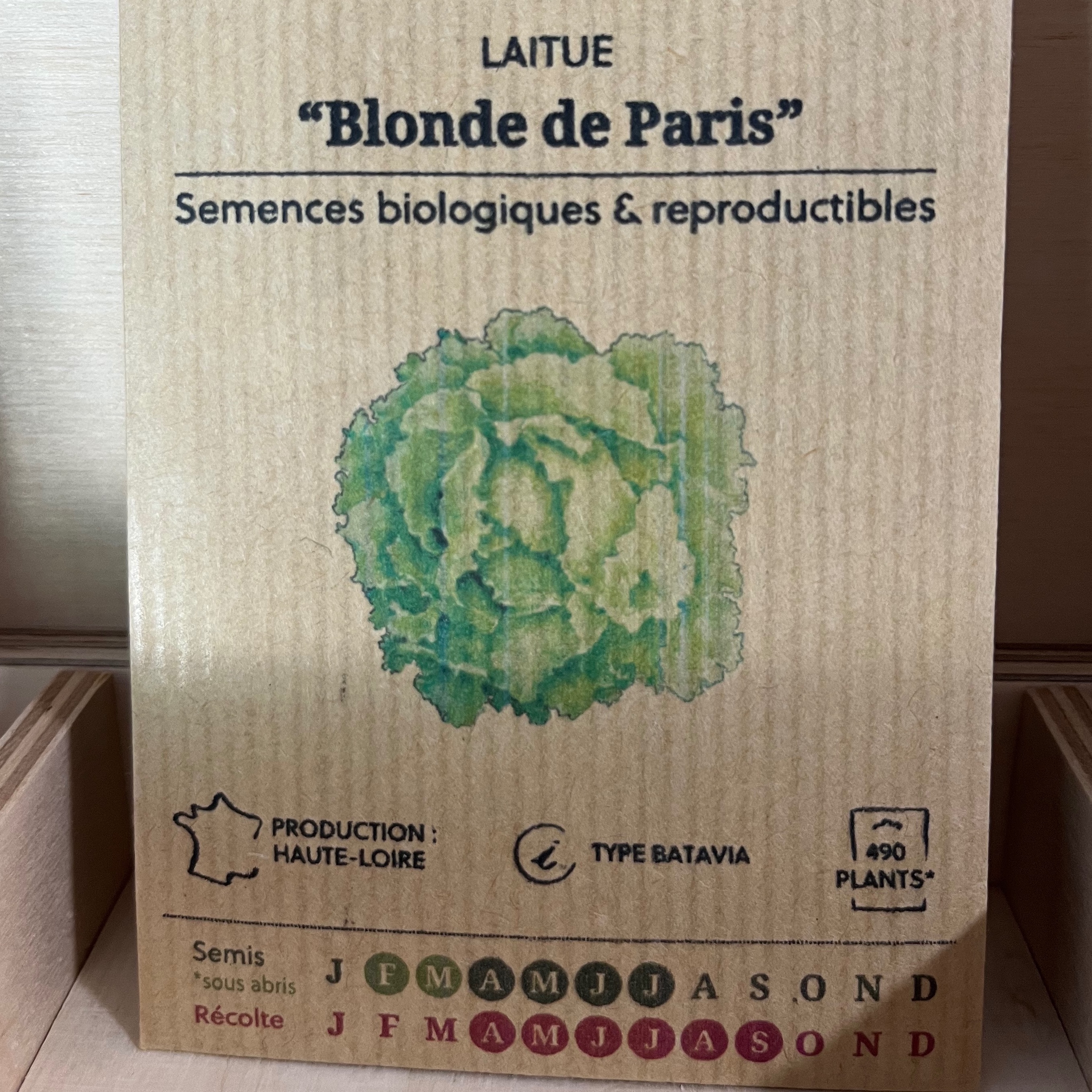 Laitue "Blonde de Paris"
