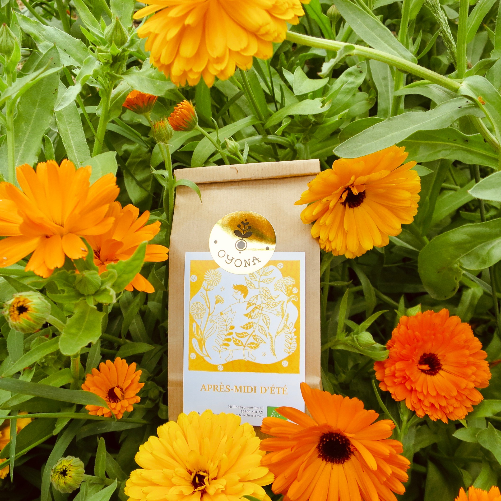 Après-midi d’été - 25g