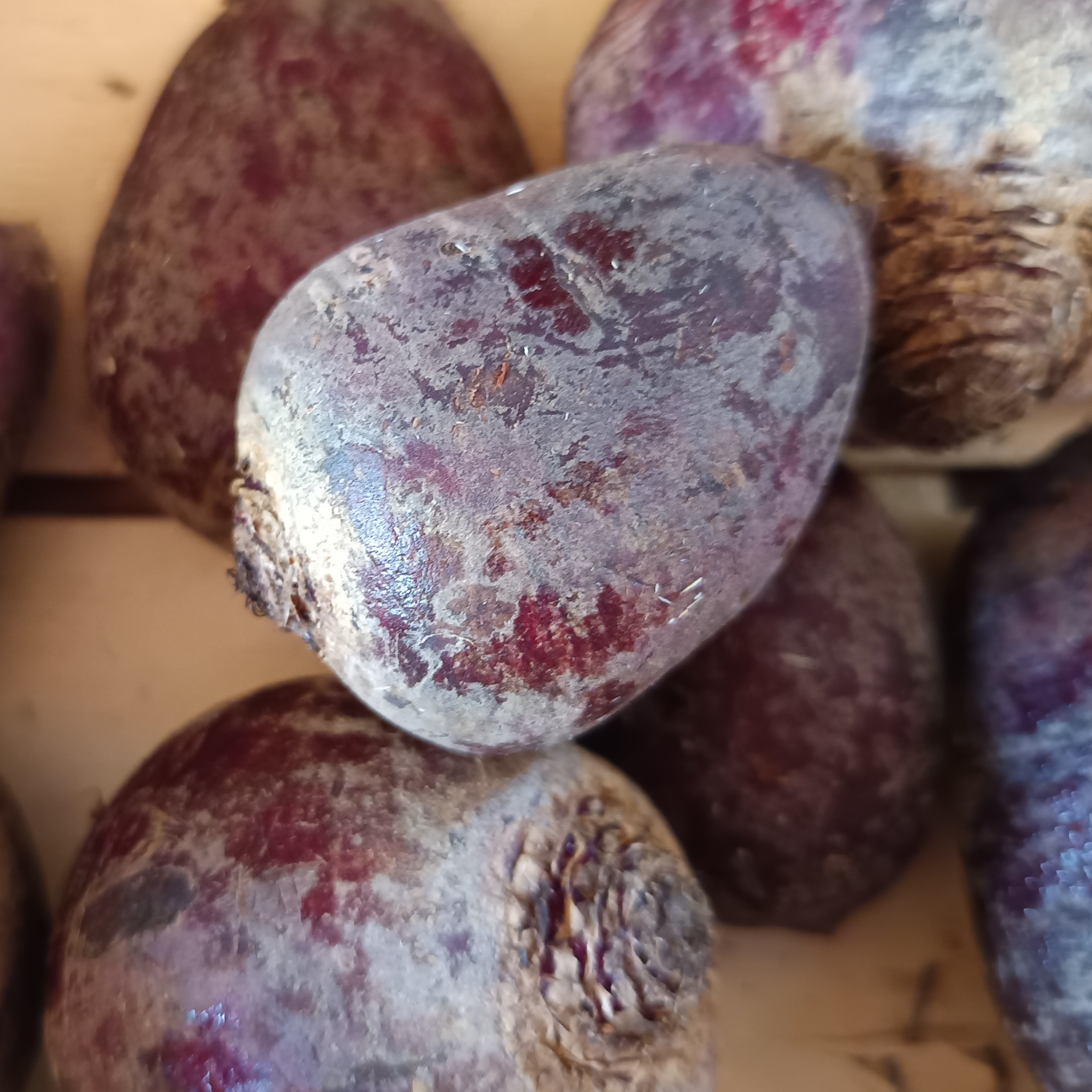 Betteraves rouges crues 500g.