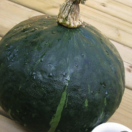 Courge Sweet mama - 1kg