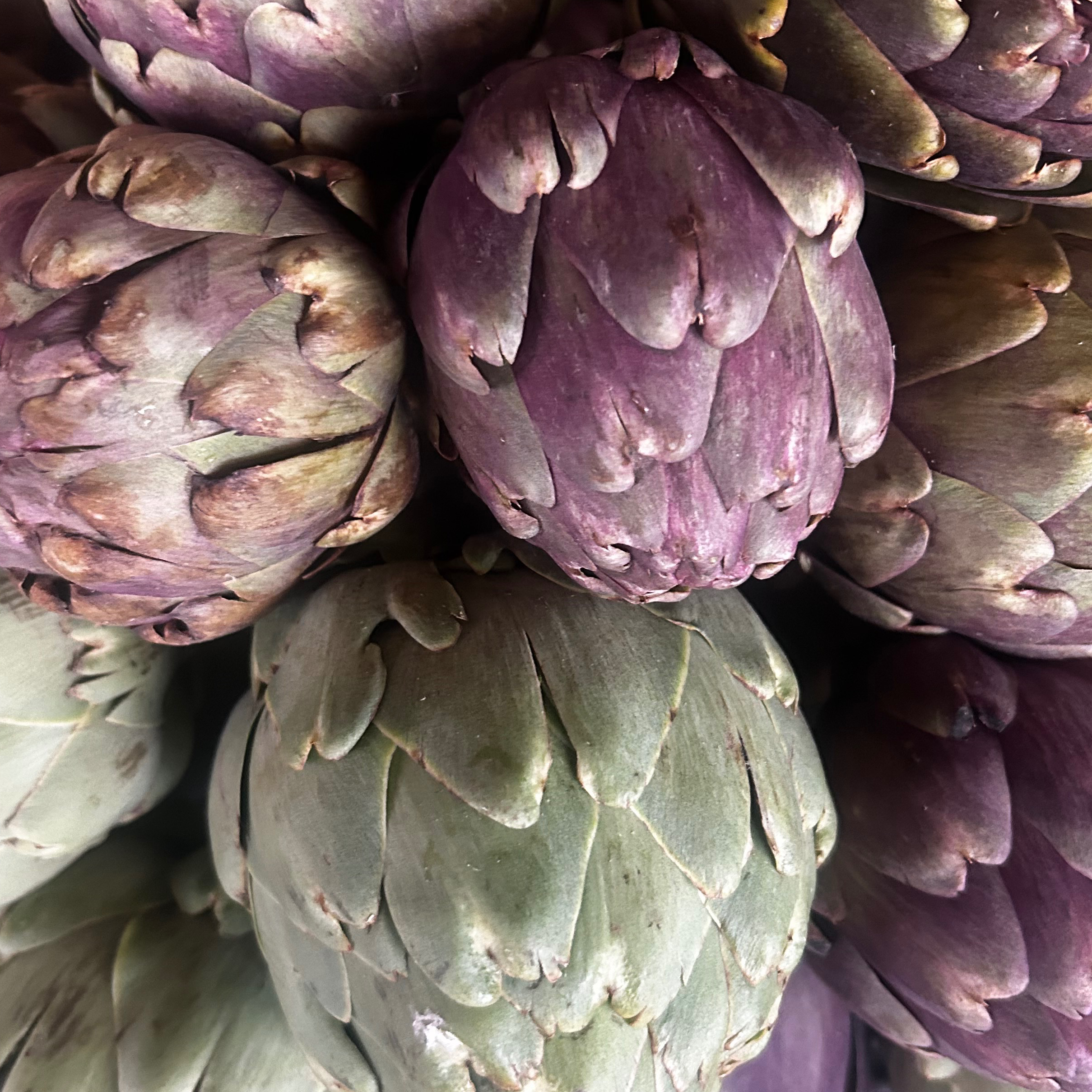 ARTICHAUT/ la pièce