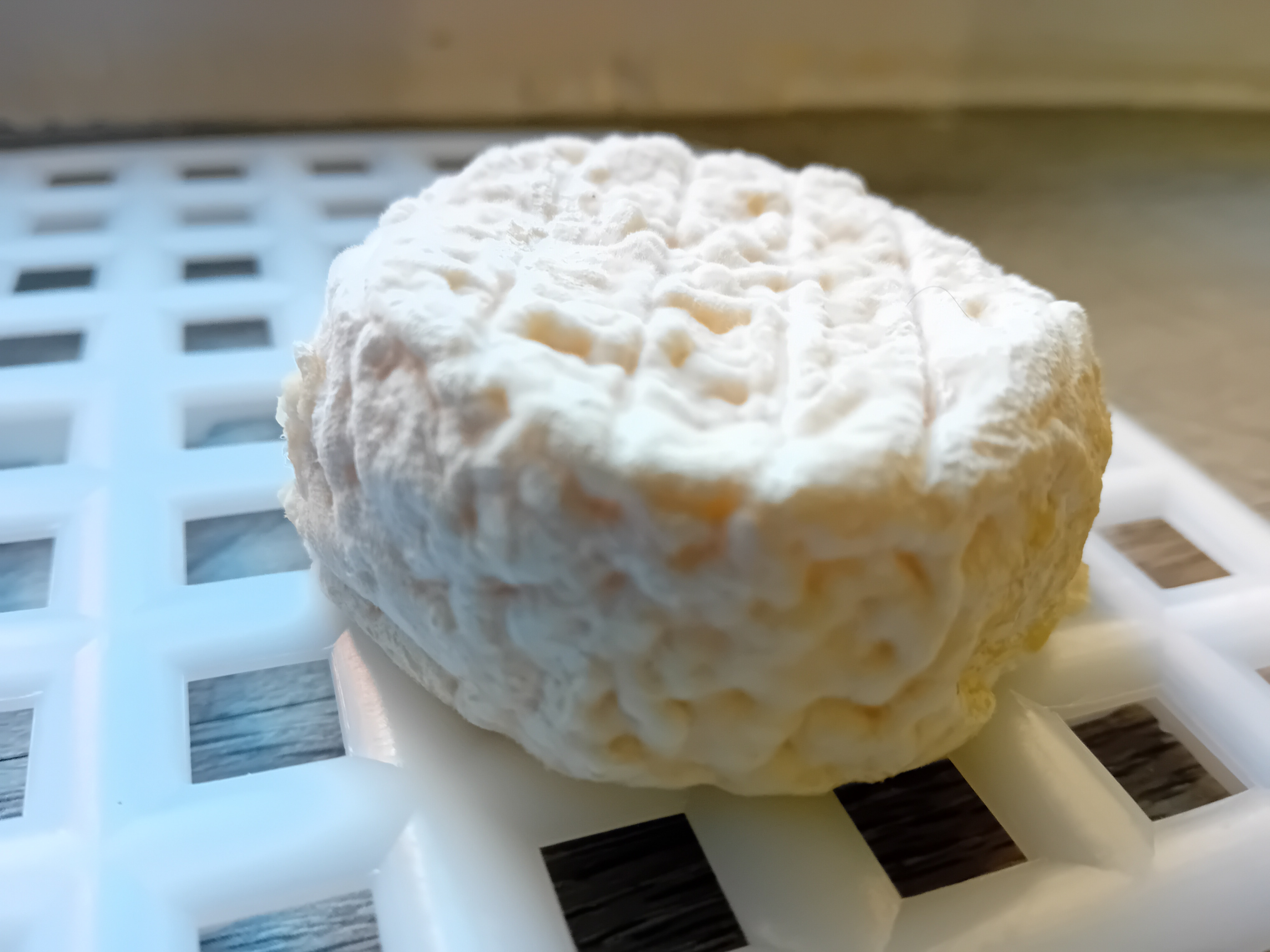 Fromage de chèvre/ brebis affiné