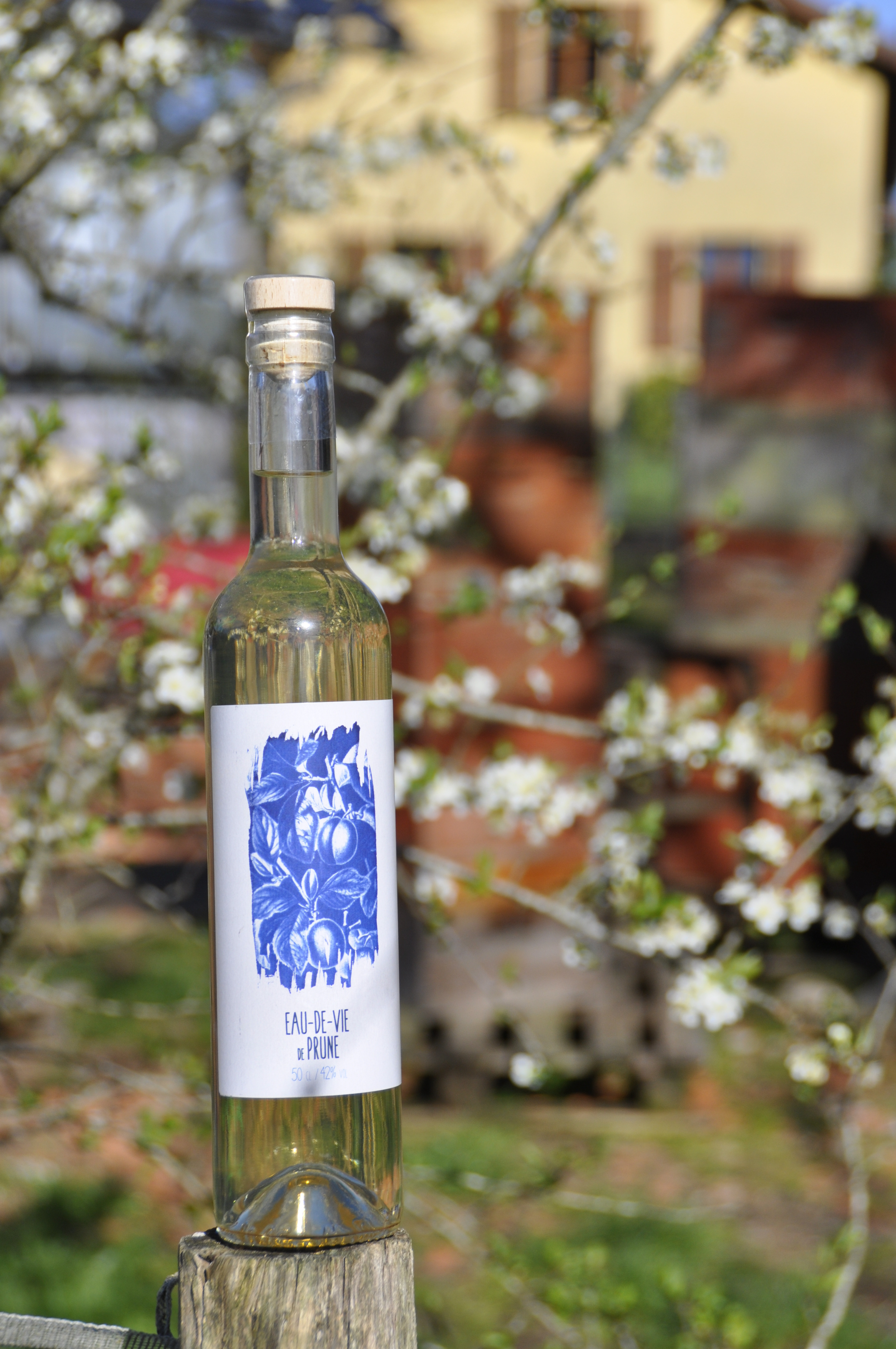 Eau-de-vie de prune 42&nbsp;% - 0,5cl