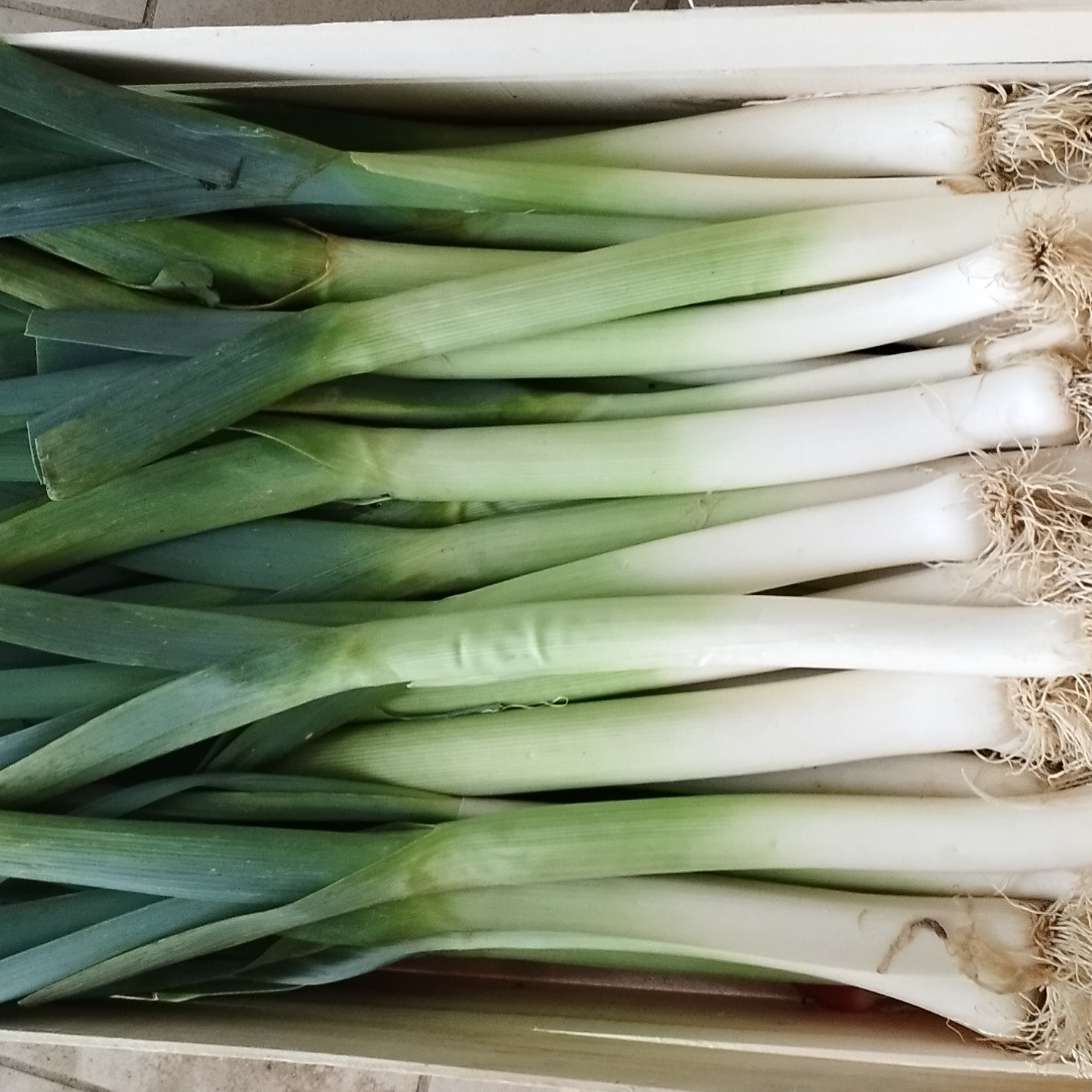 Poireaux - 400g