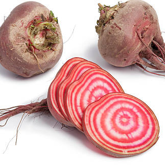 Betterave Chioggia