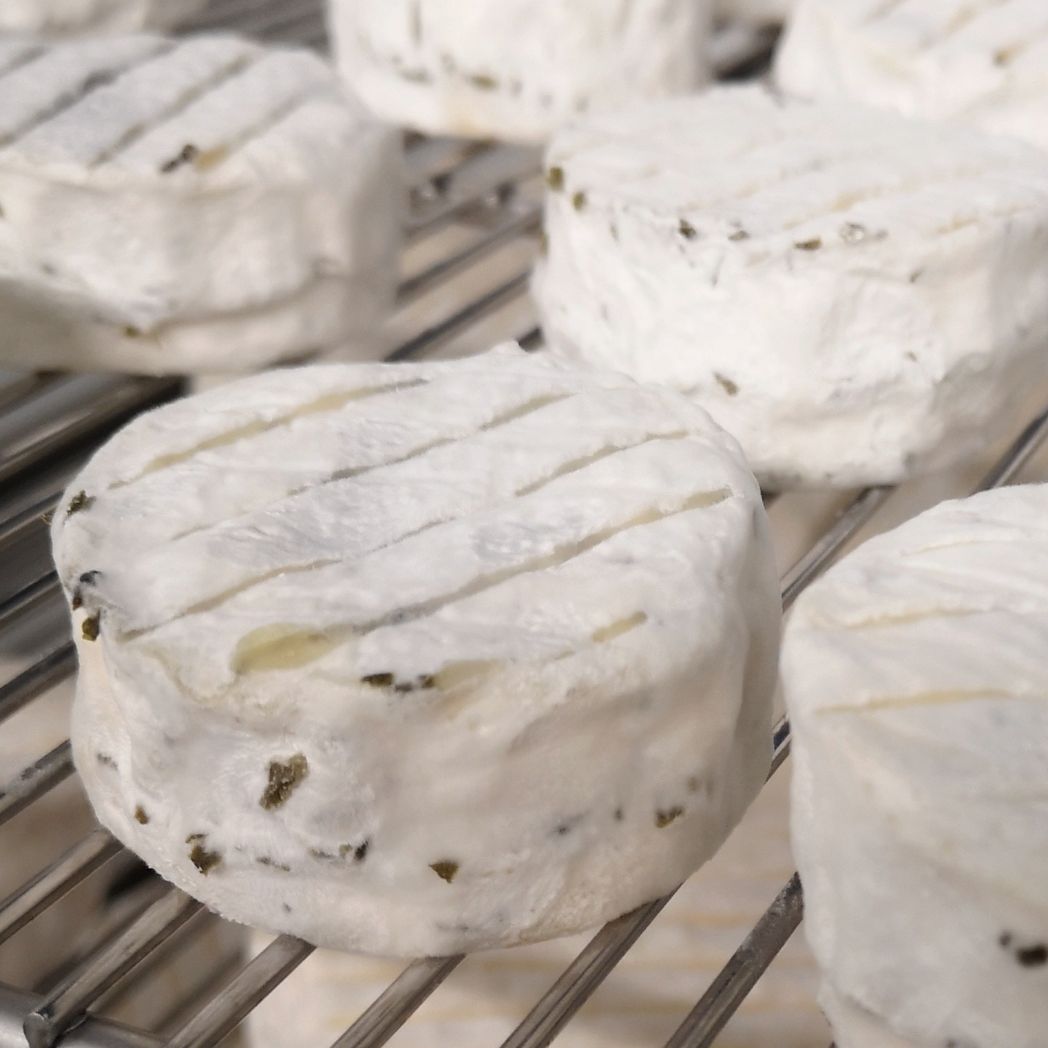 BOUCHON ail et fines herbes lait cru de vache - 40g