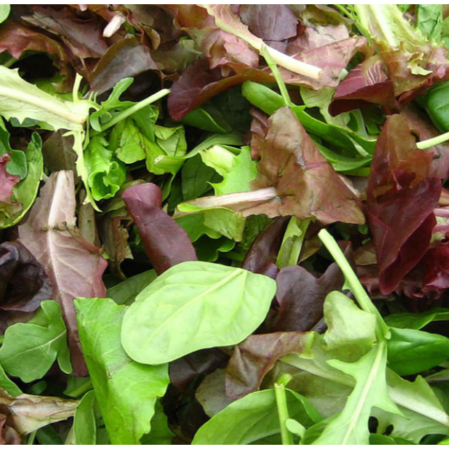 Salade jeunes pousses bio 100g