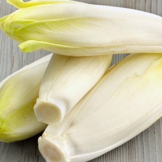 Endive